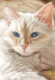 pin ot polzovatelya svetlana seregina na doske feline friends koshachi kartiny koshachij art risunki zhivotnyh