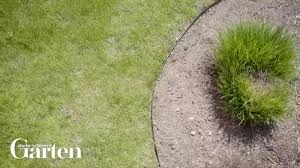 Maybe you would like to learn more about one of these? Tipps Fur Eine Pflegeleichte Rasenkante Mein Schoner Garten