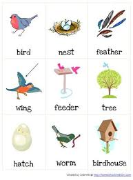 Bird Bird Bird Is The Word Song Spring Birds Thematic Unit Part 1 Spring Birds Birds For Kids Spring Animals
