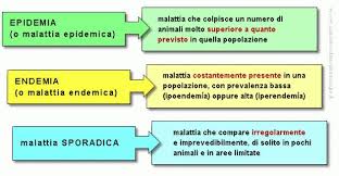 Una pandemia (del griego πανδημία, de παν, pan, todo, y δήμος, demos, 'pueblo', expresión que significa 'todo el pueblo') 1 es una epidemia de una enfermedad infecciosa que se ha propagado en un área geográficamente extensa, por ejemplo, en varios continentes o en todo el mundo, afectando a un número considerable de personas. Qual E La Differenza Tra Epidemia Endemia E Pandemia