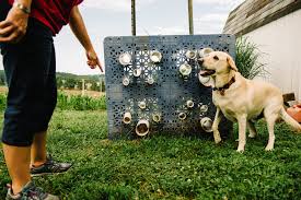 German shepherd puppies, german shepherd breeder. With A Sniff And A Signal These Dogs Hunt Down Threats To Bees The New York Times