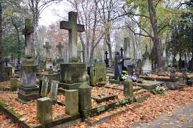 Consiliul general al municipiului bucuresti. Administratia Cimitirelor Da 30 Mil De Lei Pentru Servicii De Paza In Cimitir