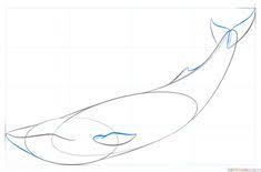 Draw the upper and lower body section back towards the tail. How To Draw A Blue Whale Step By Step Drawing Tutorials Blue Whale Drawing Whale Drawing Whale Sketch