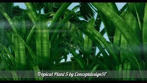 We did not find results for: Outdoor Pack 5 10 Tropical Plants 5 Palm Trees At Conceptdesign97 Sims 4 Updates
