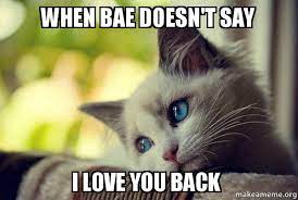 When Bae Doesn T Say I Love You Back First World Cat Problems Make A Meme
