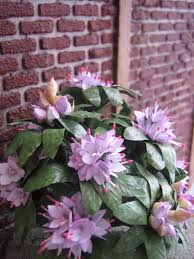 Rhododendron From Papaer Paper Flowers Mini Plants Pretty Flowers
