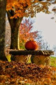Epingle Par Ada Sur Feuilles D Automne Paysage Automne Scenes D Automne Feuille Automne