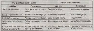 Check spelling or type a new query. Rangkuman Materi Kelas 6 Tema 6 Subtema 2 Dan Contoh Soal