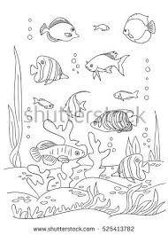 Coloring Book Page Black And Wight Ocean Bottom With Sea Inhabitants And Seaweed Doodle Style Hand Draw Coloring Pages Sea Drawing Coloring Books