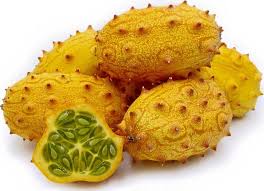 Image result for Acanthosicyos naudinianus