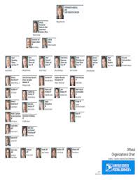 20 Printable Company Organization Chart Forms And Templates