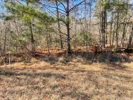 10 Acres of Land for Sale in Crawfordville, Georgia