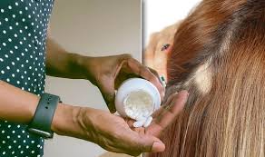 Vitamin d stimulates hair follicles, so a deficiency may lead to hair loss. Vitamin D Deficiency Symptoms Signs Of Sunshine Vitamin Condition Include Hair Loss Express Co Uk