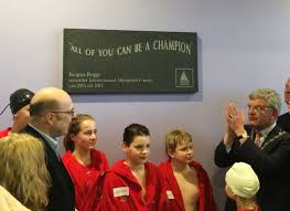 pin op gevelstenen en andere stenen