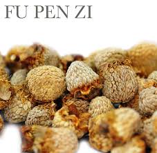 Fu Pen Zi 1 Lb Raspberry Fruit Natural Therapy Aquaponics System