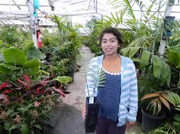 Image result for Encephalartos umbeluziensis