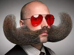 We did not find results for: Glorious Highlights From The 2014 World Beard And Moustache Championships Twistedsifter