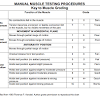 Posts tagged muscle anatomy chart pdf. 1