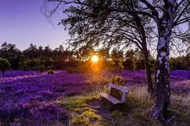 Spring sunrise - Beauty of nature Wallpapers and Images - Desktop Nexus  Groups