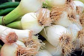 A great shallot substitute is to use green onions, or scallions in place of shallots. Green Onions Spring Onions Shallots And Eschalots