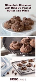 Chocolate Peanut Butter Cup Blossom Cookies Hershey S Kitchens Recipe Peanut Butter Yummy Cookies Peanut Butter Blossom Cookies