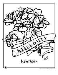 Missouri State Flower Coloring Page Flower Coloring Pages Coloring Pages Pattern Coloring Pages