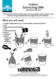 Science Printable Worksheets Free From Adventures In Homeschool Science Free Science Worksheets Homeschool