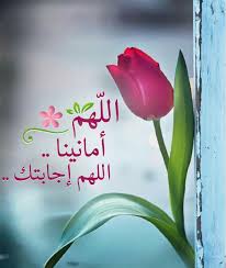 Pin By ملكة الليل On Eslamic Islamic Pictures Islam Quran Quran
