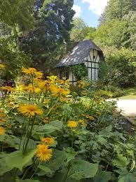 Der alte botanische garten bietet mitten im zentrum liegewiesen und parkbänke zum entspannen. Kiel Alter Botanischer Garten Botanischer Garten Garten