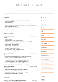 Account cover letter sample key manager. Account Executive Sample Resume Account Manager Sample Resume Account Executive Resume Examples Key Account Resume Examples Manager Resume Executive Resume