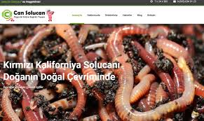 Www Cansolucan Com Solucan Solucan Satisi Solucan Pazari Kaliforniya Bilgi