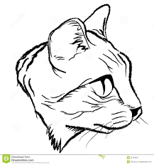 Cat Face Cat Face Drawing Cat Face Face Drawing