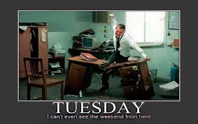 Every day is a gift and proof that your purpose in life has not yet been fulfilled. Funny Quotes About Tuesday