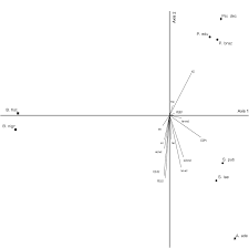 Image result for Paropsia brazzeana