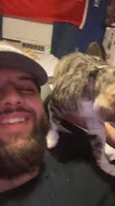 Hello all! I have a question 😅, So I adopted a cute cat from a shelter  back in February. When we took him home he was very shy at first but still  fairly friendly for a shelter cat in a new home. After ...