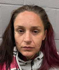 🚨🚔Police Activity