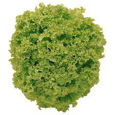 Check spelling or type a new query. Salat Lollo Bionda Bei Rewe Online Bestellen Rewe De