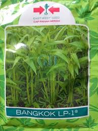 Meski begitu, hedi yunus dikenal sebagai sosok pria yang punya jiwa kebapakan lho. Jual Benih Bibit Kangkung Bangkok Lp 1 By Cap Panah Merah Di Lapak Momo Hanz Bukalapak