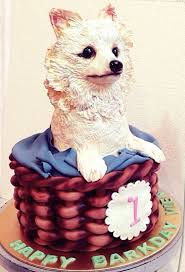 Pomeranian Cake Pomeranian Puppy Cute Dog Pictures Your Pet