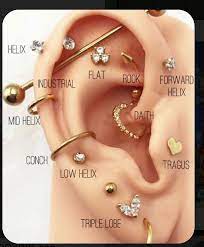 Pin By Fernanda Vilela On Diseno Pretty Ear Piercings Types Of Ear Piercings Earings Piercings