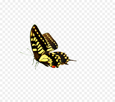Maybe you would like to learn more about one of these? 29 Gambar Kartun Kupu Kupu Terbang Kumpulan Gambar Kartun