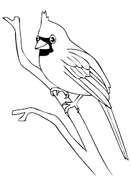 Top 20 Bird Coloring Pages Your Toddler Will Love To Color Bird Coloring Pages Bird Drawings Bird Art