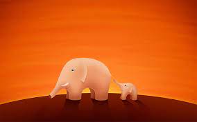 Elephant Hd Desktop Wallpapers Elephant Pictures 1920 1200 Elephant Backgrounds For Desktop 37 Wallpap Elephant Wallpaper Elephant Pictures Cartoon Elephant
