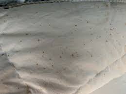 保管していた間に羽毛ふとんにシミが！その羽毛布団、アイクリーンサービスにお任せ下さい！