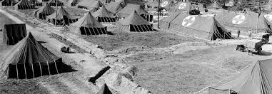 At least 20,000 french people were killed in the battle of normandy. Cost Of Battle D Day Revisited