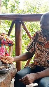 Plantago major, the broadleaf plantain, white man's foot, or greater plantain, is a species of flowering plant in the plantain family plantaginaceae. Musawo Mercy