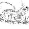 These printable coloring pages give a new meaning to leapin' lizards! 3