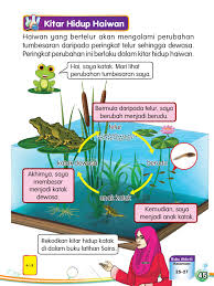 Add to my workbooks (1). Sains Tahun 2 Sk Pages 51 100 Flip Pdf Download Fliphtml5