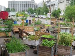 Pin Auf Gemeinschaftsgarten Und Urban Gardening