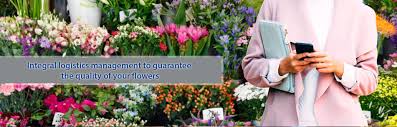 Send flowers to colombia medellin. Colombian Flowers Todo En Flores Y Follajes